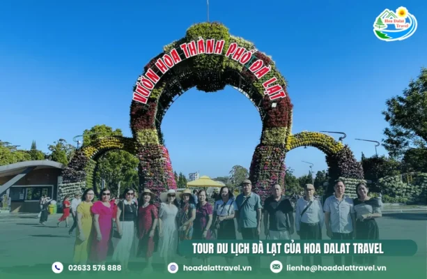 Hoa Dalat Travel là công ty tổ chức tour Đà Lạt, đặt phòng khách sạn