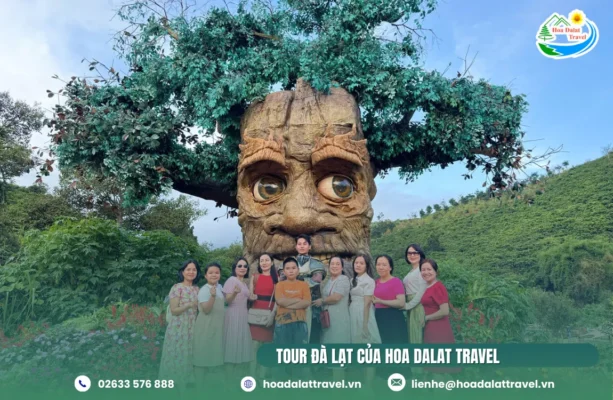 Hoa Dalat Travel là công ty tổ chức tour Đà Lạt, đặt phòng khách sạn