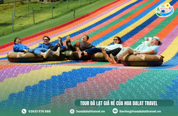 Hoa Dalat Travel là công ty tổ chức tour Đà Lạt, đặt phòng khách sạn